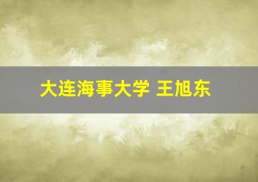 大连海事大学 王旭东